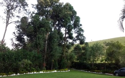 CHÁCARA - MATO DENTRO